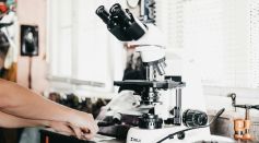 Protein Cloaking Breakthrough