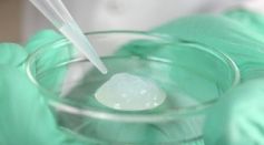 Regulating Locomotion of Hydrogel Using Light and Electric Fields Holds Key in Developing Autonomous Materials