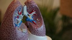 Revolutionizing Liver Cancer Treatment: MRI-Guided Microrobots Offer Precise Targeting