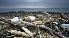 Rubbish Litters UK Beaches