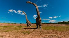 sauropod 