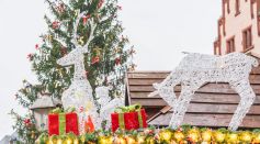 The Science Behind Santa’s Preference of Reindeer to Pull His 