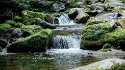 Small River with Waterfalls