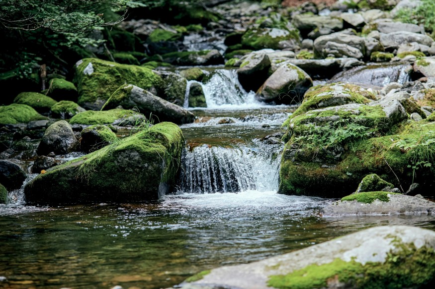 Small River with Waterfalls