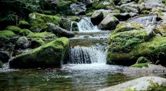 Small River with Waterfalls