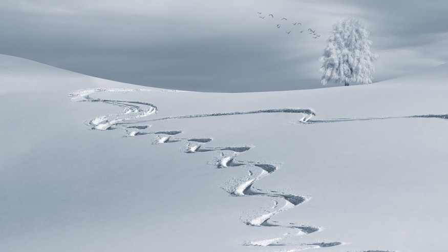 Snow