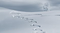 Snow