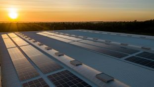 Solar Panel Boards During Sunset