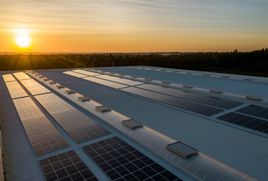 Solar Panel Boards During Sunset