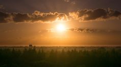 Sun Shining on a Field