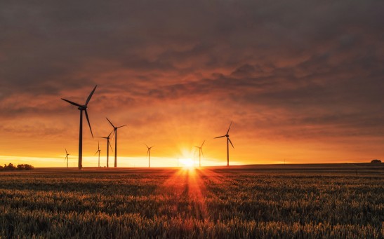 Sun Shining Through Windmills