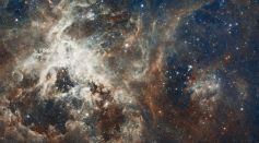 Universe