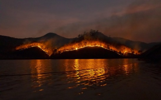 Wildfire