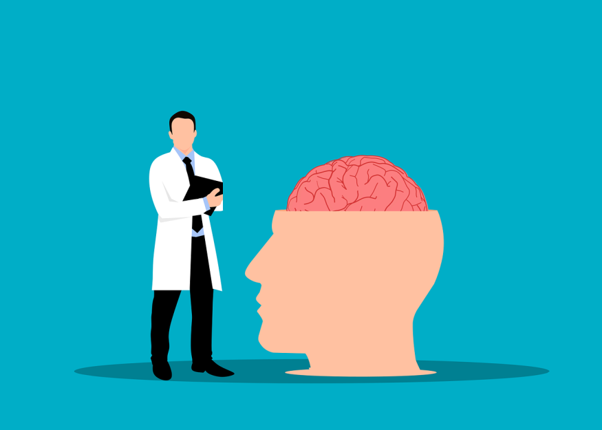 Brain