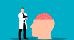 Brain