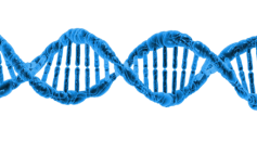 Glass Nanolattice Made from DNA Proves to be Lighter and Stronger Than Steel