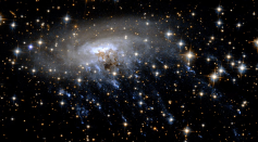 “Jellyfish” Galaxy